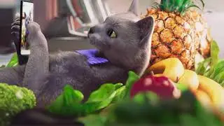 Champion Cat Naturals