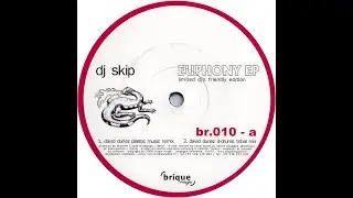 DJ Skip - Euphony (David Duriez Plastic Music Remix)