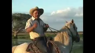 Carlos Rico Todavia Huelo A Sabana