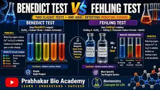 Benedict Test Vs Fehling Test