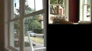 Andersen&reg; Windows at VISION House&reg; Orlando