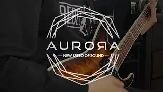 Aurora DSP Rhino and Mammoth Plugins