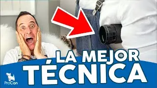 ¡5 TRUCOS PROFESIONALES! 🔥🔥 Cómo secar el pelo de un perro con SECADOR en la PELUQUERÍA CANINA