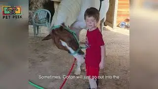Big Horse vs. Tiny Baby – What Happens Next Will Melt Your Heart!