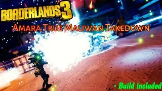 Amara True Maliwan Takedown Gameplay | Borderlands 3