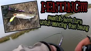 UMPAN MANCING IKAN BAUNG PALING JITU, Umpan Buatan || uji mamisi