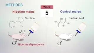 Paternal nicotine exposure alters hepatic xenobiotic metabolism in offspring