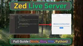 Zed Live Server: ЛУЧШИЙ способ запуска функции &laquo;Пополнение баланса в реальном времени&raquo; в Zed.