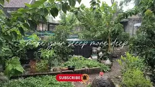 Piano Instrumental Pengantar Tidur | Anti Insomnia