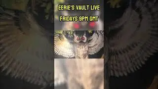 The Owl Man Of Mawnan PART 5
