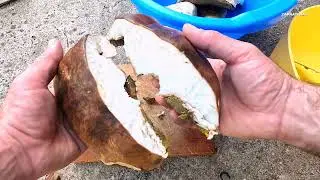 SUSENJE VRGANJA - ZADOVOLJSTVO KOJE OPLEMENJUJE DUSU