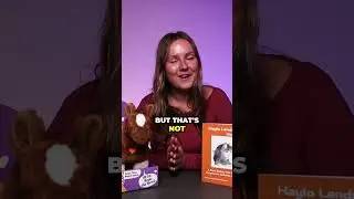 Emotional Learning Made Fun with Haylo!