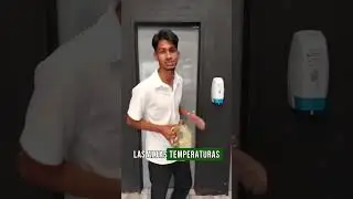 El mejor aceite, el que te cuida el corazon, Green Olive