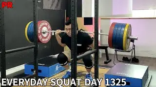 매일 스쿼트 1325일 : 하이바 스쿼트 220kg 6회 PR