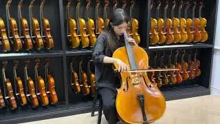 【ISVA Strings】🇩🇪 德國工作室精選 #02｜金獎工藝首選 Heinrich Gill｜Heinrich Gill  G5｜高階級演奏琴款｜專業演奏大提琴｜官方授權代理