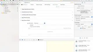 Xcode EXC_BAD_ACCESS Error Fixing