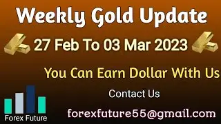 Weekly Forex Future Gold Update