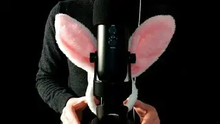 ASMR Fakten &uuml;ber Motorr&auml;der