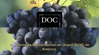 Wines of Argentina - Malbec - Institucional