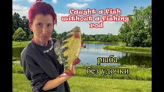 A fish without a fishing rod / fish without bones