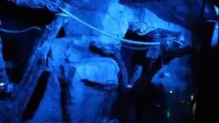 Our Visit to the Vigo Zoo
