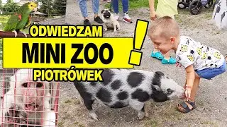 mini ZOO PIOTR&Oacute;WEK poznaję zwierzęta #animals #zoo