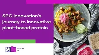 SPG Innovation&rsquo;s journey to innovative plant-based protein