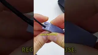 Tiny Mouse Inside a Regular Mouse?