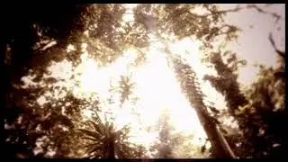 TV Ad Starmild Losta Masta - Tarzan #tvproduction #tvc #advertising #commercial #advertisingagency