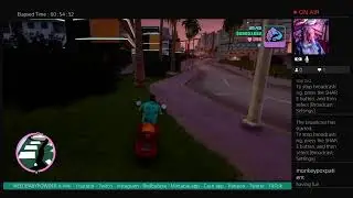 GTA Vice City (420 Friendly Free Entertainment!)