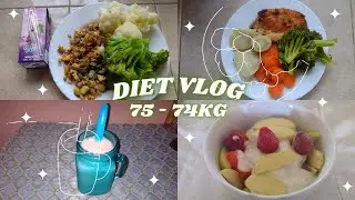 Blog de dieta para adelgazar | Diet Vlog Sub Espa&ntilde;ol 5 d&iacute;as