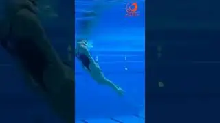 Grace REID ( UNITED KINGDOM ) - Women Diving 3M FINAL - EAC - LONDON 2016