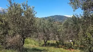 Greek Mountains, it's wild out here
