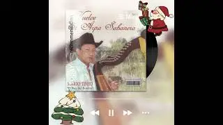Instrumental - Vuelve el arpa sabanera - Mario Tineo
