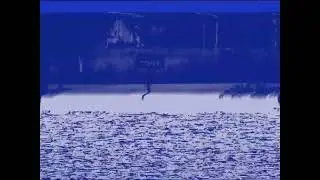 Sharp Viewcam just DIES while testing the effects