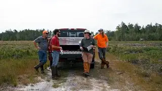 Proving we're sustainable: What happens on a sustainable forestry audit?