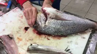 Sinarit Balığı Nasıl Temizlenir 🎣🔥🍀🇹🇷