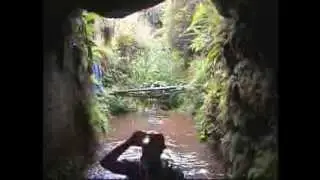 First D of Hanalei River Kauai