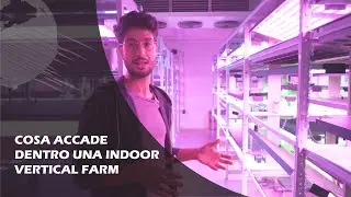 VERTICAL FARM: coltivazione verticale in aeroponica e idroponica