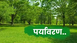 विश्व पर्यावरण दिवस विशेष गीत | Paryawaran Song | Paryavaran Song in Hindi | Envirnment