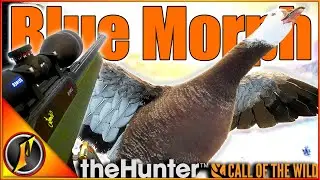 РЕДКИЙ Снежный гусь синего окраса на хребте Аски! | theHunter Зов дикой природы