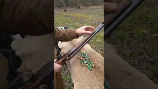 H. Burgsm&uuml;ller and Sohne!! Kreinsen Harz 16 gauge double barrel shotgun!! #youtubeshorts