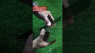 What is inside mobile display #shorts #trending