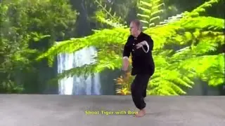 Agenda 23 - Retreat & Ride the Tiger, Spin 360 Horizontal Right Heel Kick, Shoot Tiger with Bow
