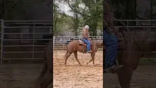What do you do for your horses in the cold weather