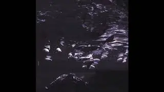 PVLSR - Slow Wave