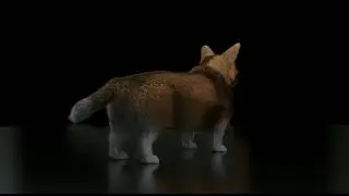 dog 3d model, 360 view (MAYA)