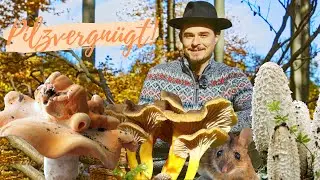 Meine TOP 5 Pilz Sch&auml;tze im Sp&auml;t-Herbst 🍂🍁 Was man im Oktober/November noch finden kann 😃