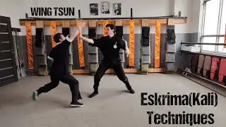 Armenian Wing Tsun, Sifu Sergey Hovakinyan. Eskrima Techniques