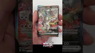 Opening Pokemon Black Bolt & White Flare Premium Collection #pokemon #pokemoncards